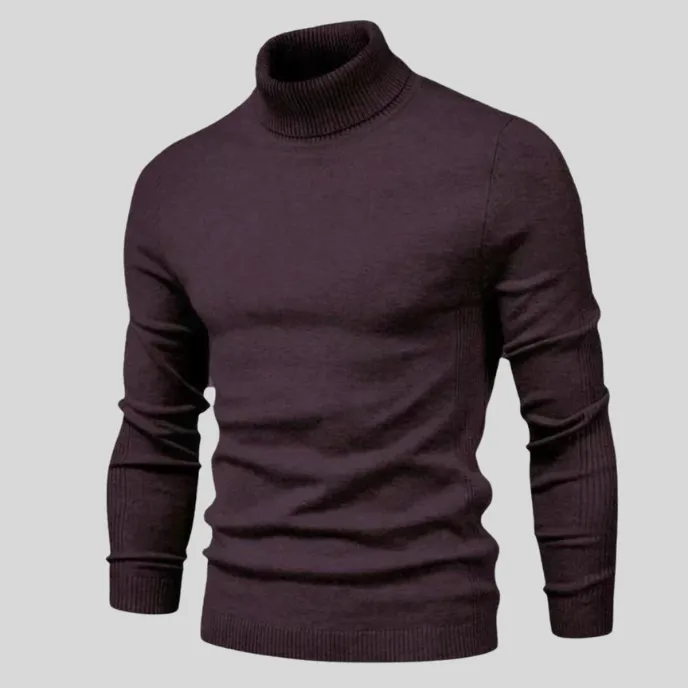 Ben - Fashionable Roll Neck Jumper