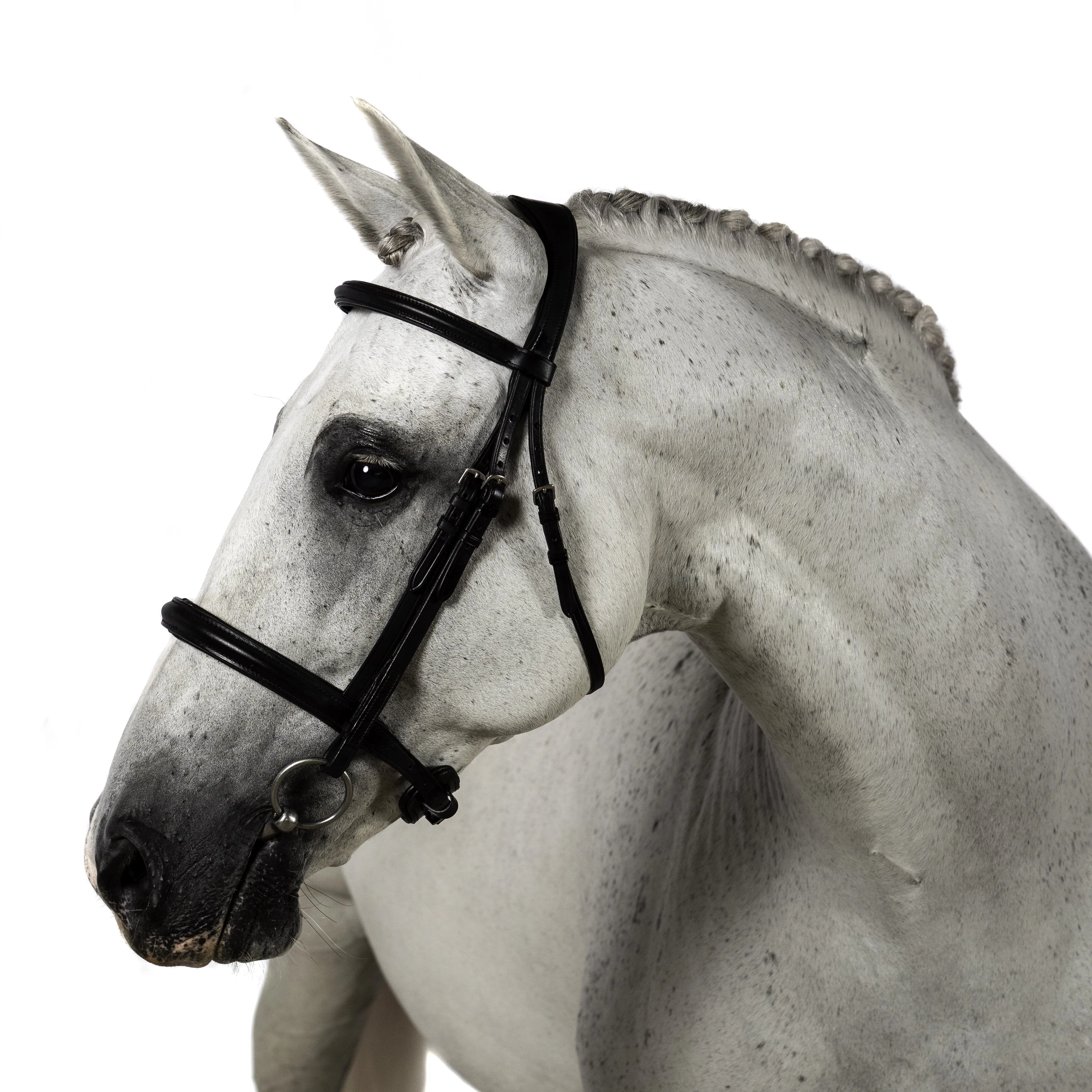 Black Snaffle Bridle 'Plain Beauty'