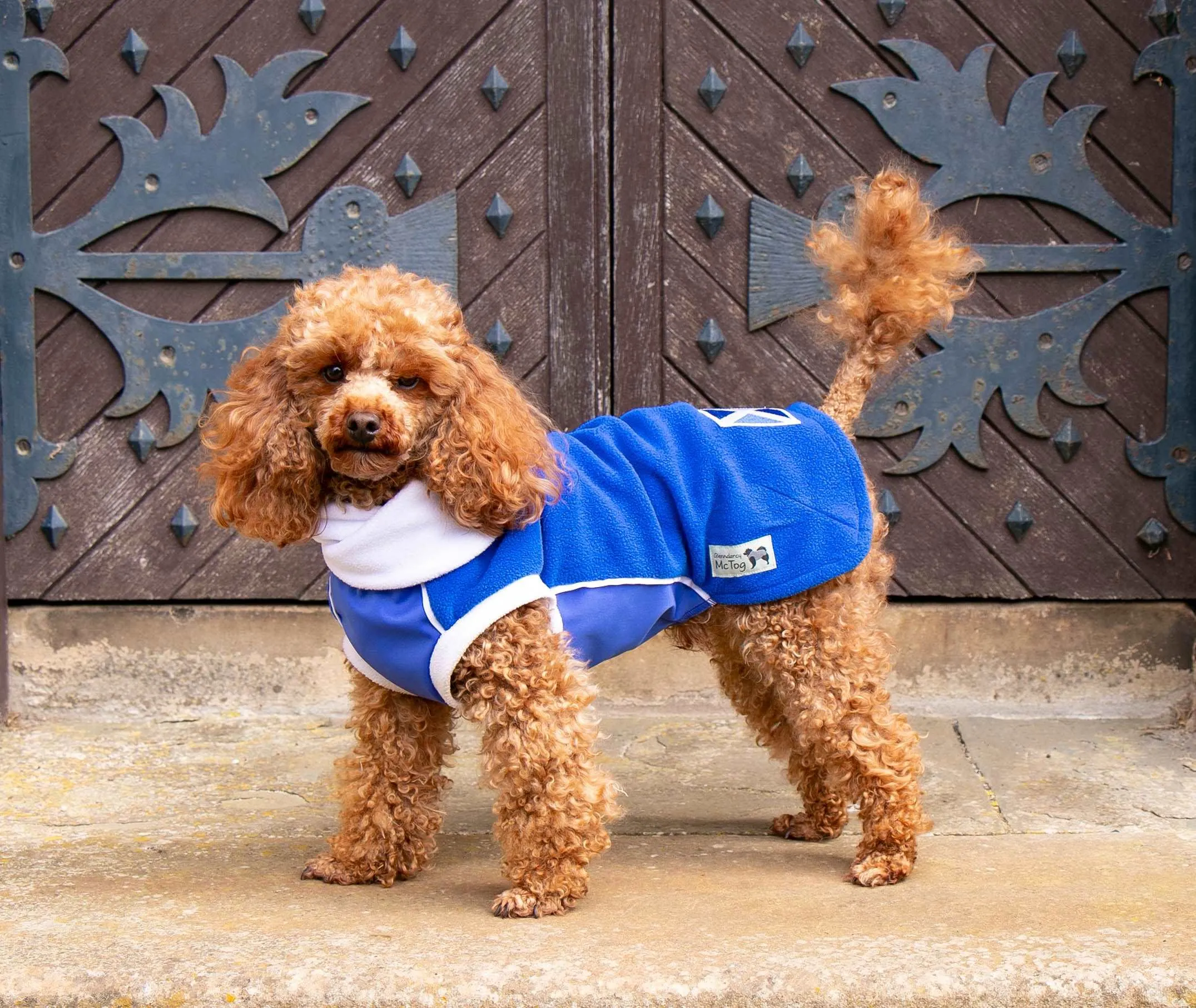 Blue Polar Fleece with Blue Waterproof tummy panel McTog dog Jumper