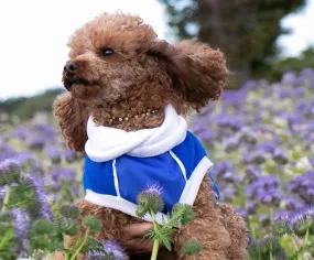Blue Polar Fleece with Blue Waterproof tummy panel McTog dog Jumper