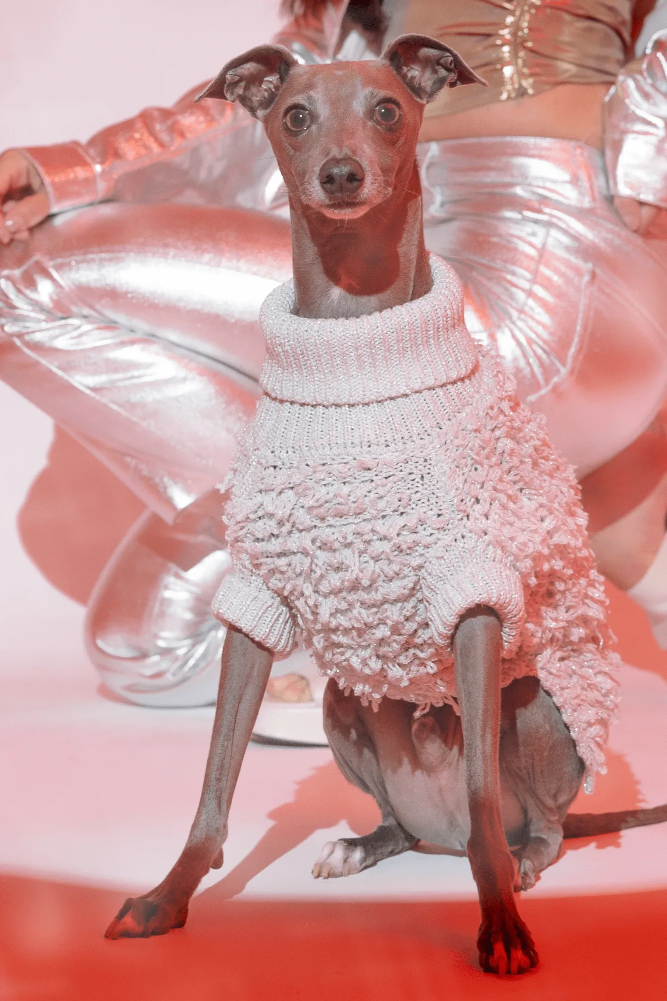 Metallic Curly Knit Jumper