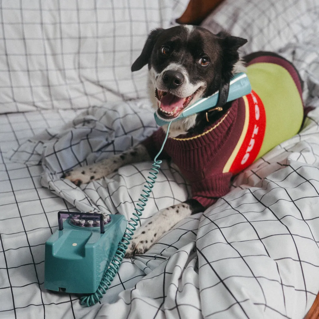 Out Of Office Knitted Dog Jumper