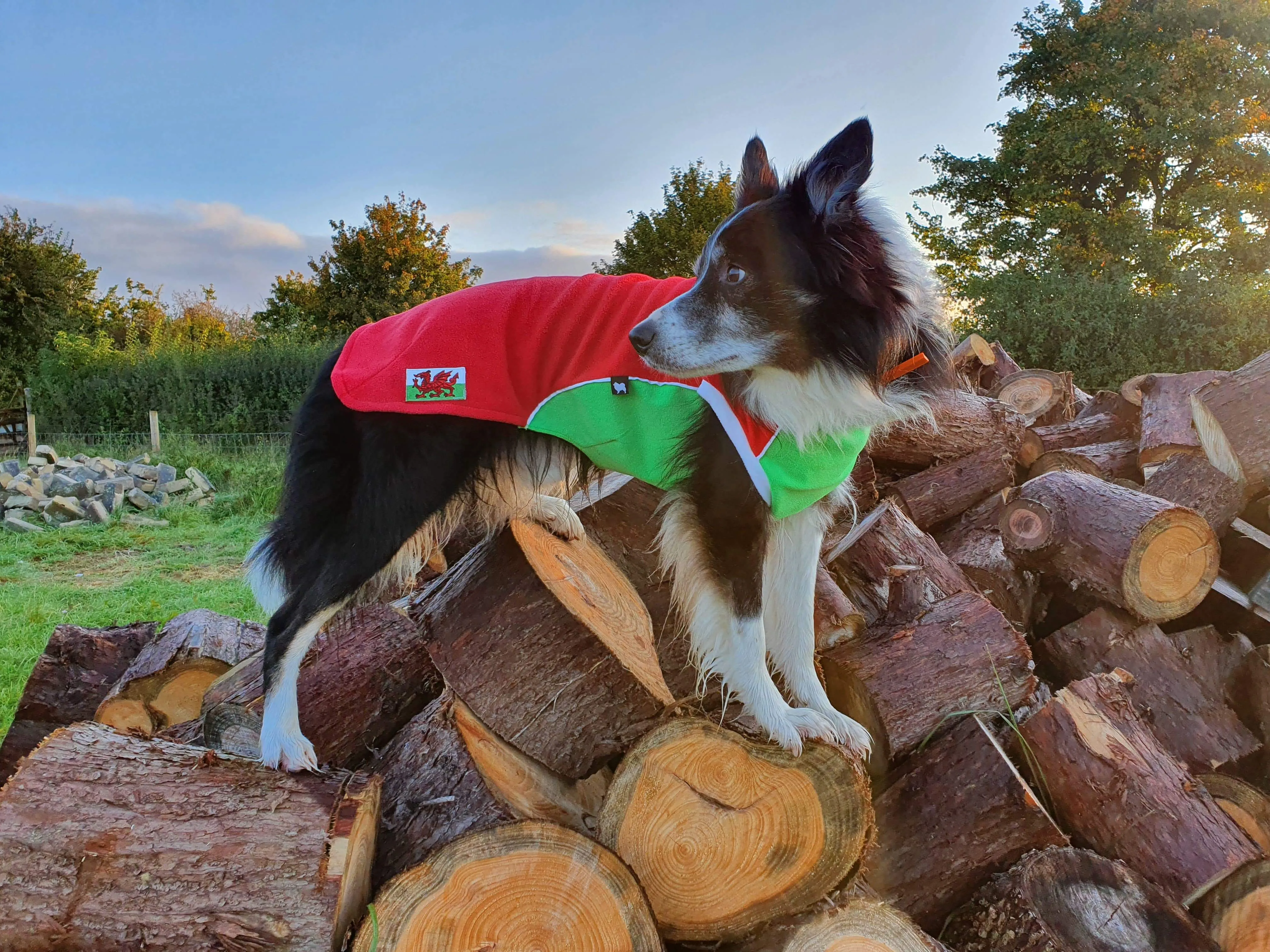 Red Green Polar Fleece - Waterproof belly - McTog Dog Jumper