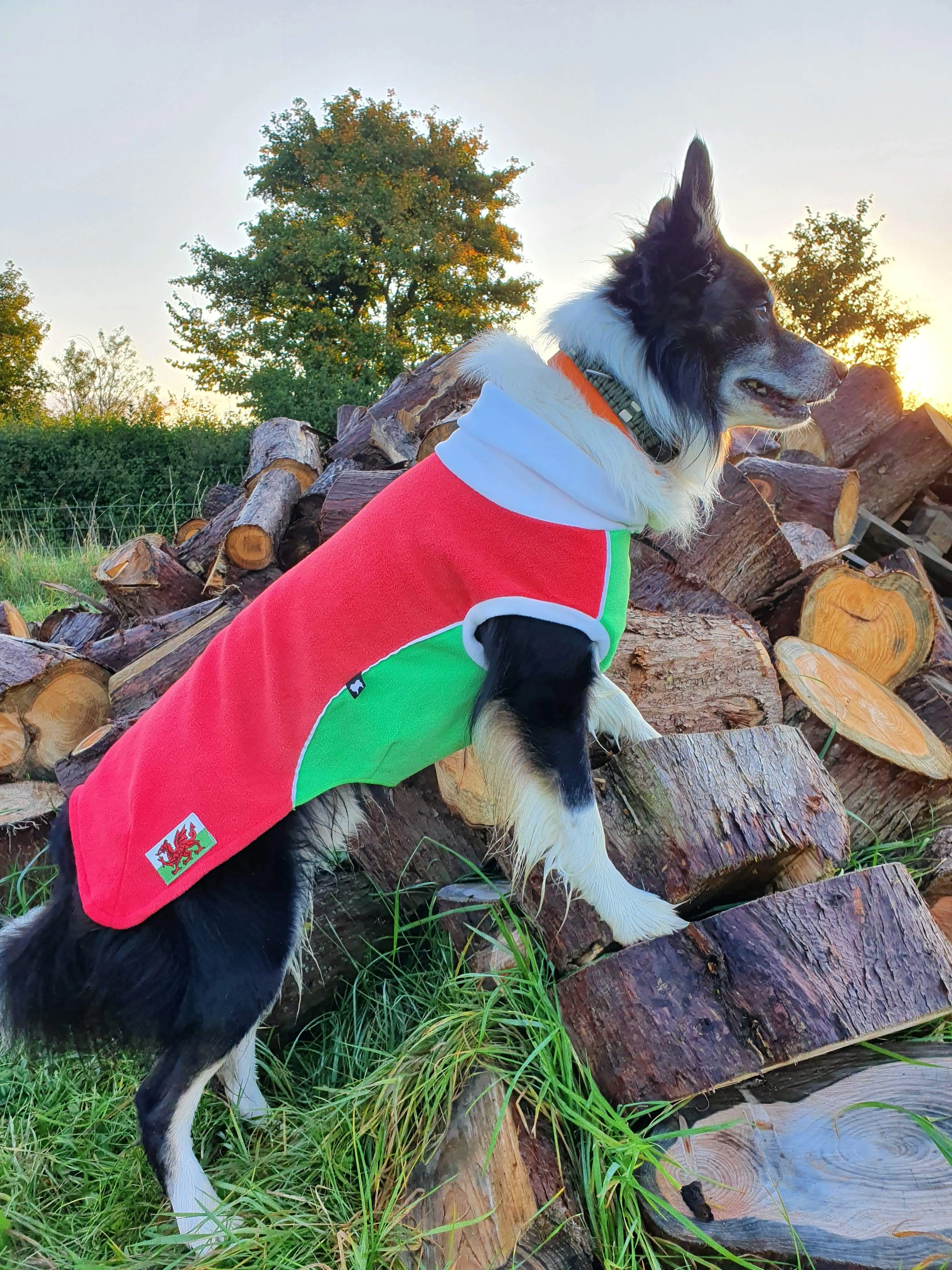 Red Green Polar Fleece - Waterproof belly - McTog Dog Jumper