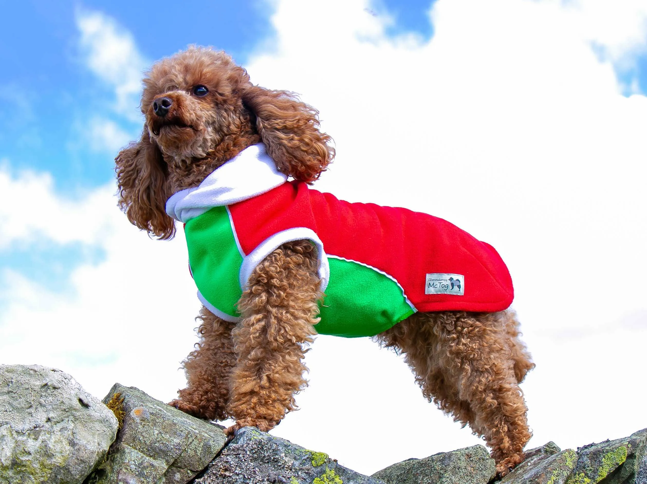 Red Green Polar Fleece - Waterproof belly - McTog Dog Jumper