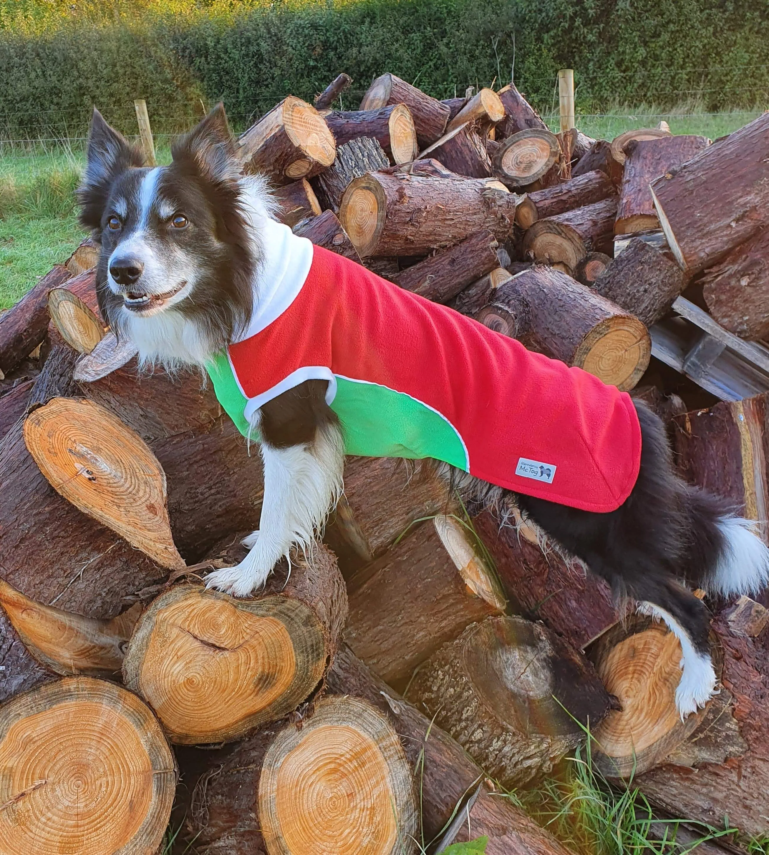 Red Green Polar Fleece - Waterproof belly - McTog Dog Jumper