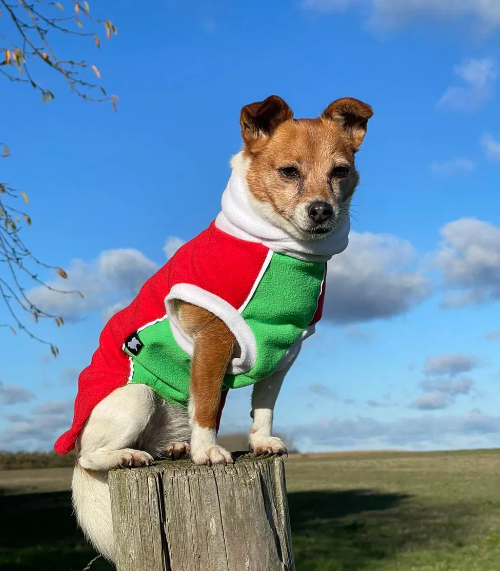Red Green Polar Fleece - Waterproof belly - McTog Dog Jumper