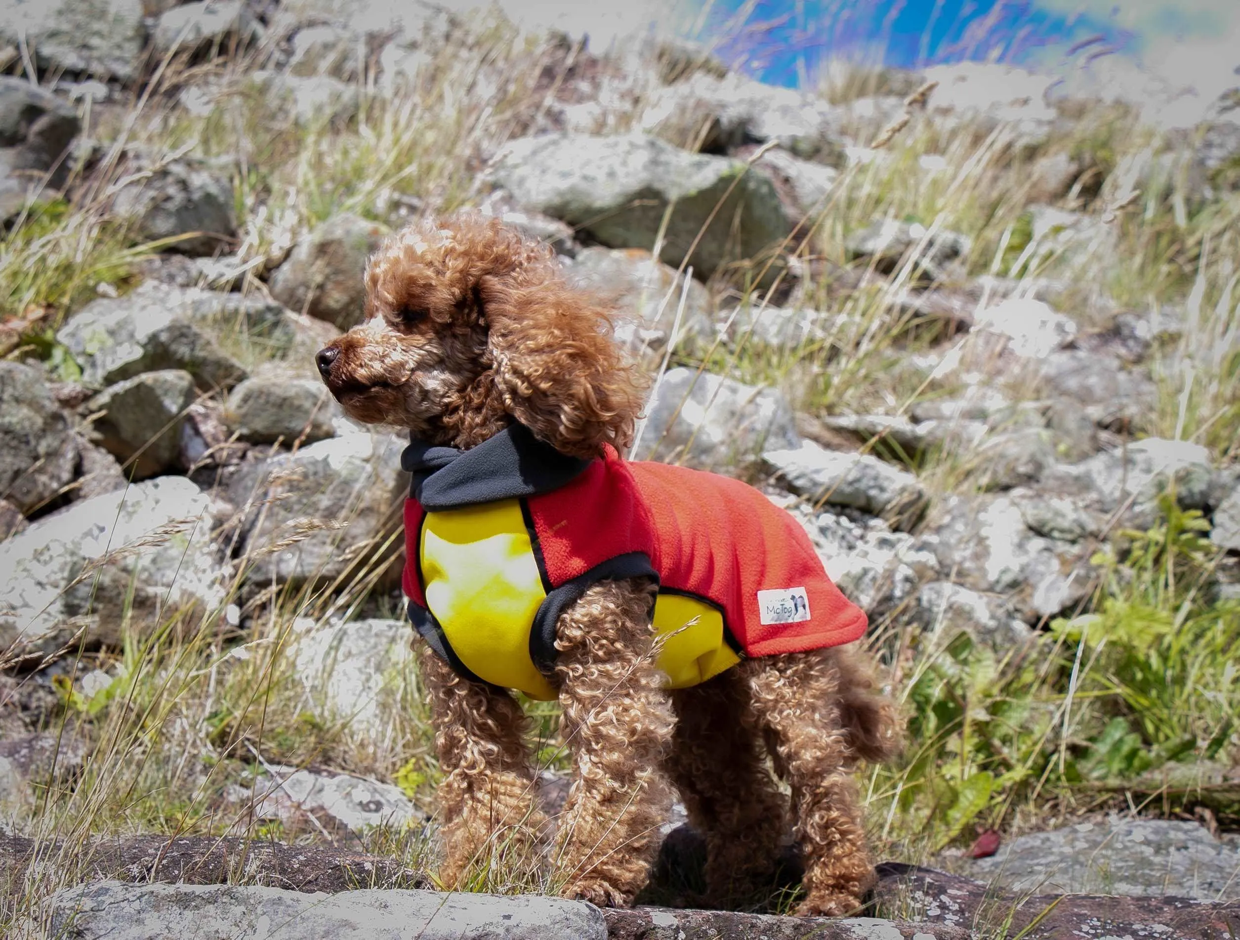 Red Yellow Polar Fleece - Waterproof belly McTog Dog Jumper
