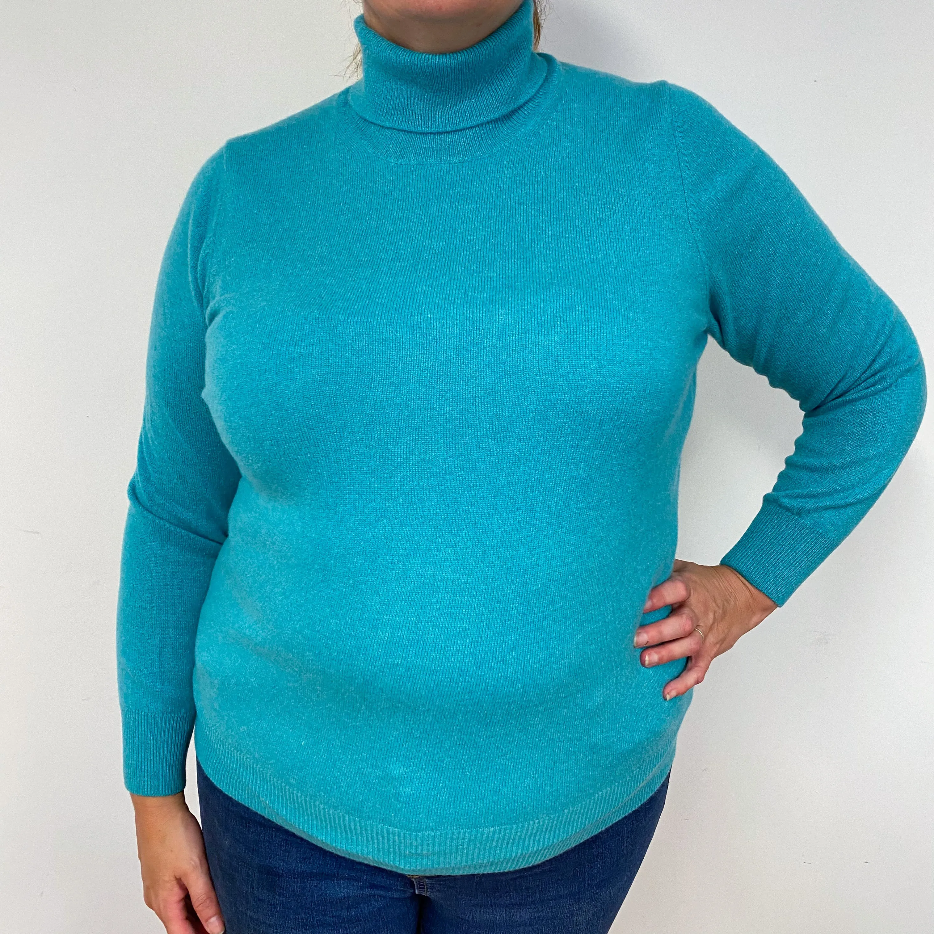 Sea Green Polo Neck Jumper Extra  Large